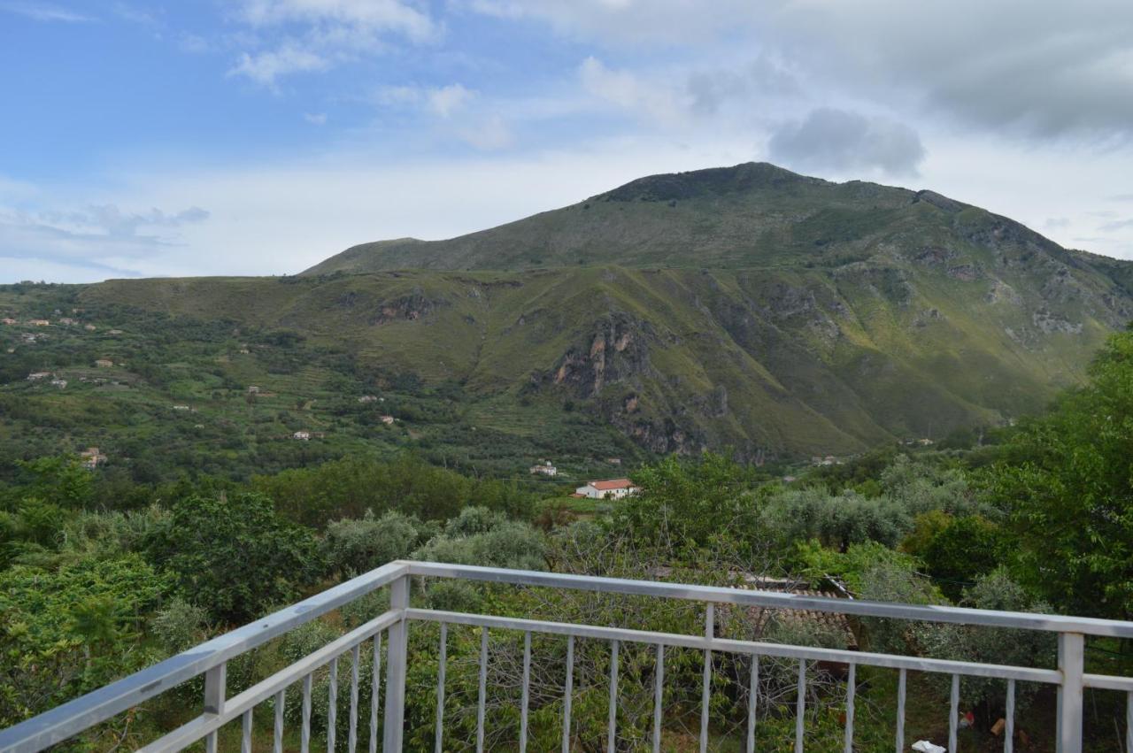 Vista D'amare Bed and Breakfast Buonvicino Exteriör bild